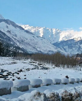 Manali